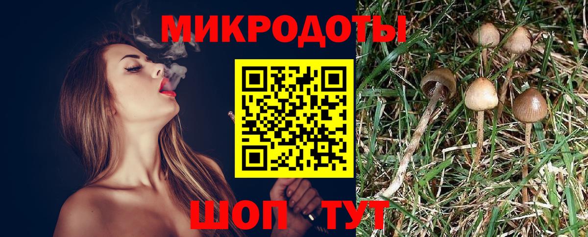 Галлюциногенные грибы Magic Shrooms Волжский