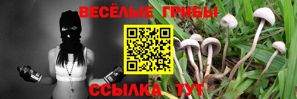 Псилоцибиновые грибы Psilocybine cubensis  Вход с VPN  Волжский 